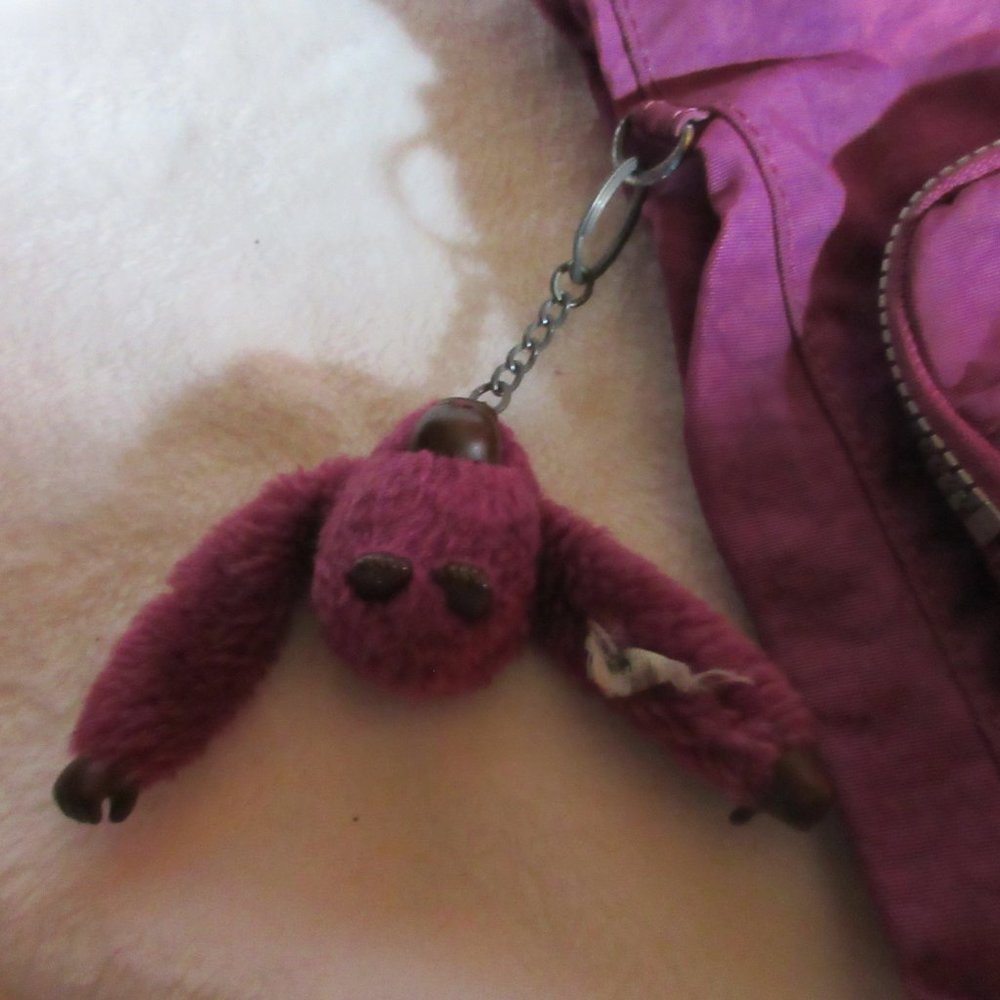 Kipling Side Bag - image 2